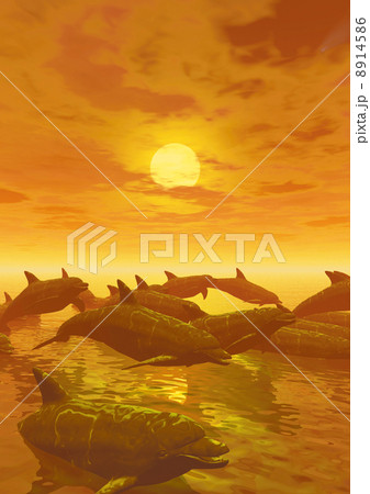 ジャンプ イルカ 夕方 夕日のイラスト素材 Pixta