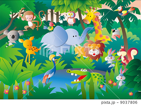 動物 複数 イラスト ジャングルのイラスト素材 Pixta