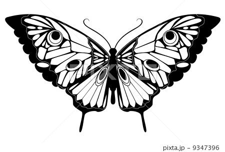 ベスト50 かわいい 蝶 イラスト 白黒 ただのディズニー画像