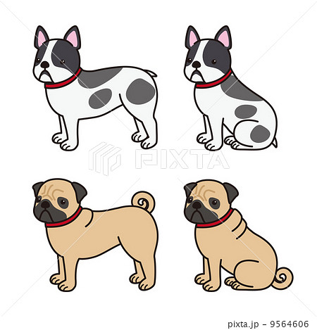 犬 座る バリエーション 首輪のイラスト素材