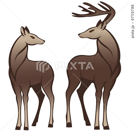 Deer Illustrations