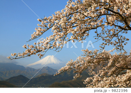 岩殿山の写真素材