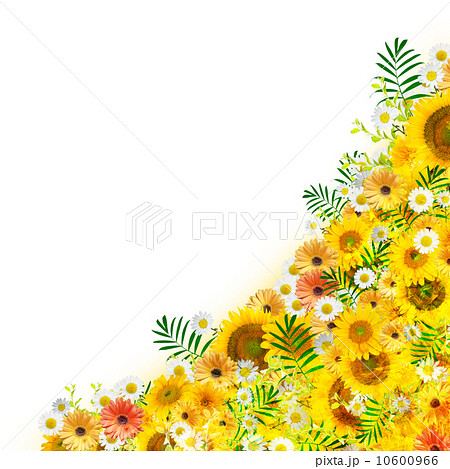 花 ヒマワリ ガーベラ 花束の写真素材
