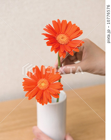 花を挿すの写真素材