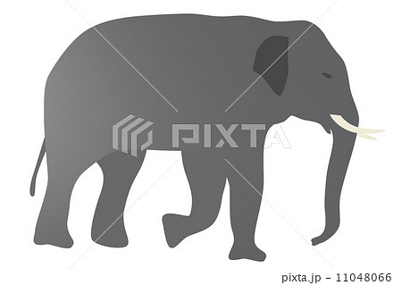 アフリカゾウのイラスト素材