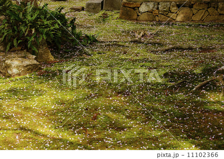 花筵の写真素材