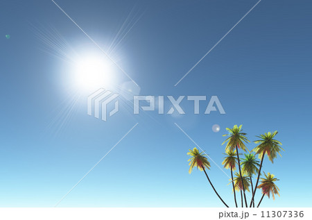 太陽 木 レンズフレア 青空のイラスト素材