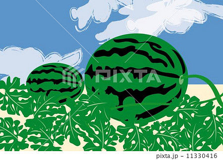スイカ 野菜 スイカの葉 はがきサイズのイラスト素材