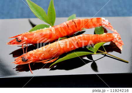 静岡県浜名湖産の活きクルマエビ さいまき の塩焼き 焼きもの グリル の写真素材