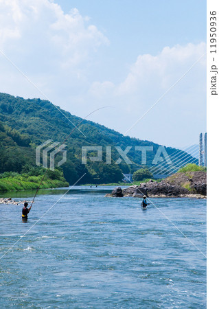 千曲川 アユ釣り 川釣り 友釣りの写真素材