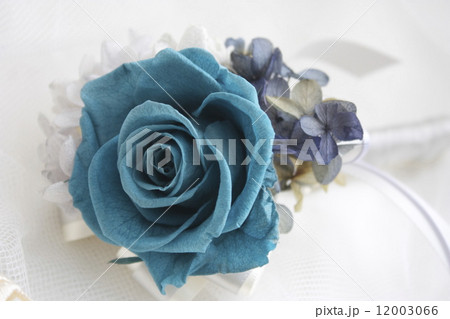 バラ ターコイズブルー プリザーブドフラワー ローズの写真素材 - PIXTA