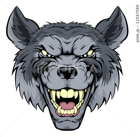 オオカミの正面顔 狼のイラスト素材