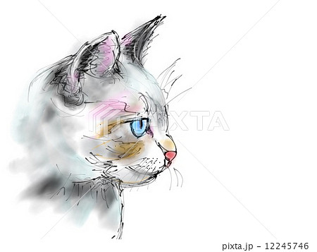 猫 横顔 水彩 一匹のイラスト素材