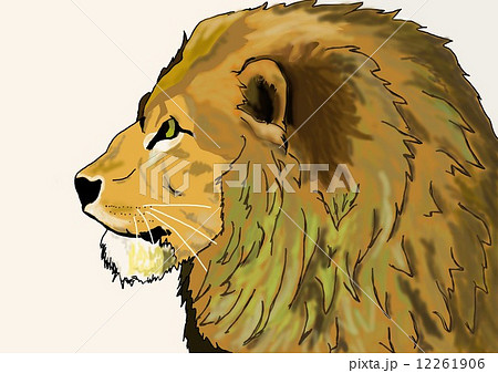 雄 横顔 ライオン 動物のイラスト素材