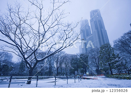 新宿中央公園下雪的雪雪景照片素材
