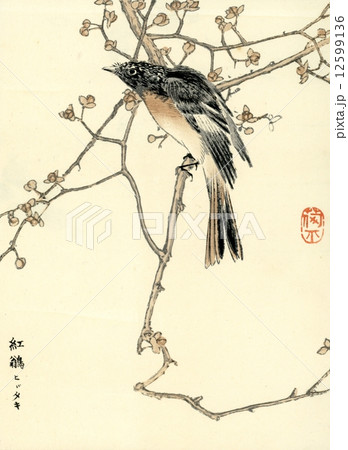 花鳥 レトロ アンティーク 木版画 版画 鳥のイラスト素材 - PIXTA