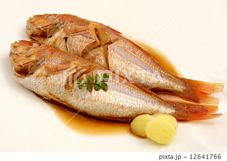 金糸魚の写真素材