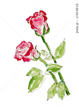 赤い薔薇 絵の具 水彩 絵具の写真素材