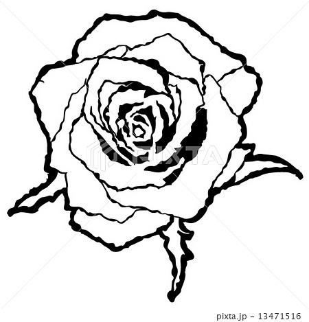 バラ 白黒 花 切り絵のイラスト素材