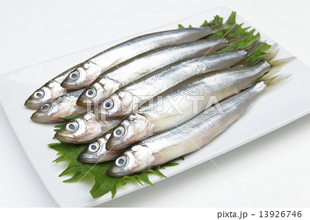 川魚 魚 ワカサギ 広告の写真素材 Pixta