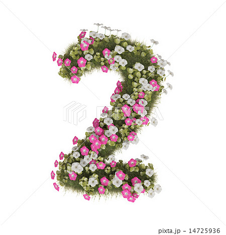 朝顔 花 数字 7のイラスト素材