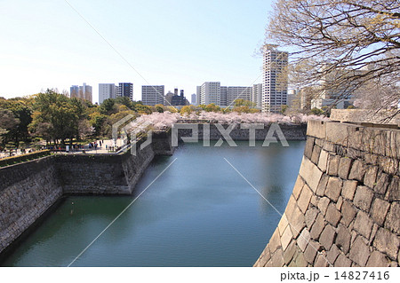 大阪城 堀 桜並木 大阪府の写真素材