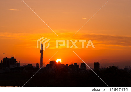 夕日 東京スカイツリー 落日 夕焼けの写真素材
