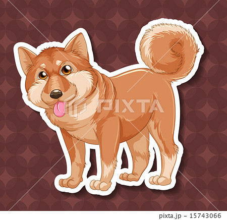 犬 壁紙 ペット 柴犬のイラスト素材