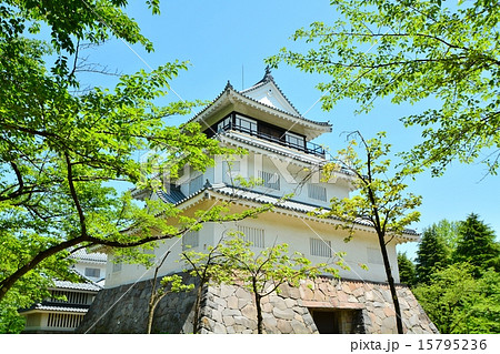 新緑に包まれる越後長岡城 長岡市郷土資料館風景の写真素材