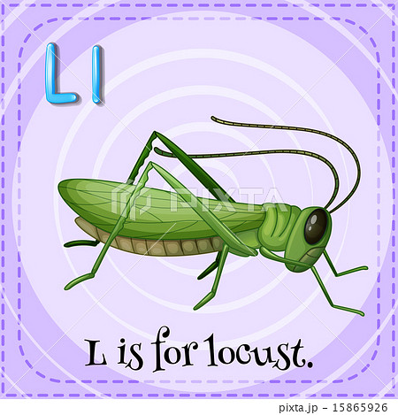 バッタ イナゴ 昆虫 虫のイラスト素材