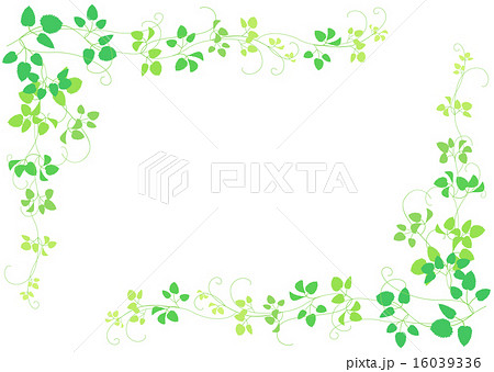 緑 つる植物 フレーム ベクターのイラスト素材