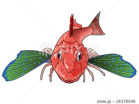 魚 ホウボウイラスト 魚イラスト カナガシラのイラスト素材