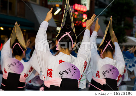 三鷹阿波おどりの写真素材