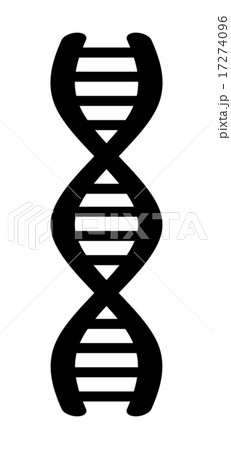省略線のイラスト素材