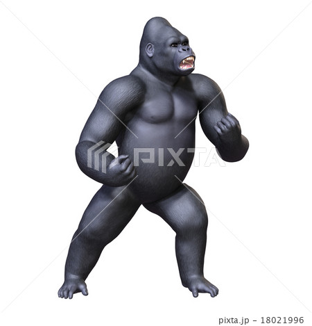 ゴリラ ドラミングのイラスト素材