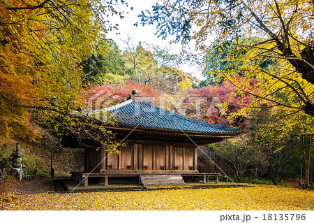 国宝 富貴寺 紅葉 銀杏の写真素材