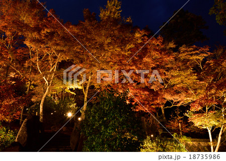 紅葉 ライトアップ 筑波山 つくばの写真素材