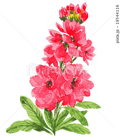 すべての美しい花の画像 綺麗な花 ストック イラスト