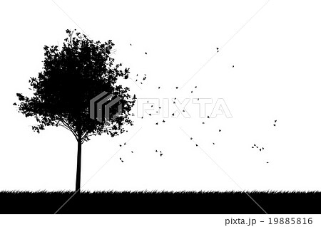 桜の木のイラスト 白黒 無料フリーイラスト素材集 Frame Illust