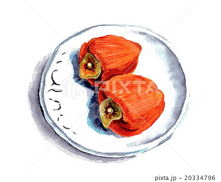 干し柿 鉛筆画 干し柿 鉛筆画