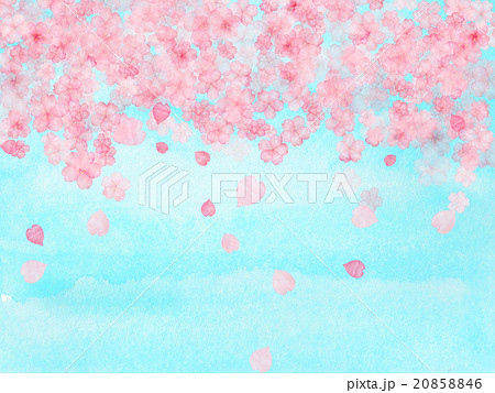 Gatoさん No のイラスト素材