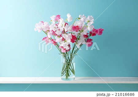 花瓶 花 スイートピー 生花の写真素材