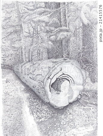 倒木のイラスト素材