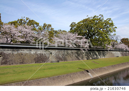 熊本城 城 塀 お濠の写真素材