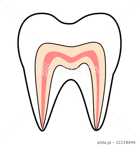 虫歯予防デーのイラスト素材