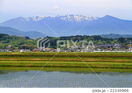 蔵王町