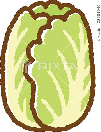 白菜 はくさい かわいい イラスト 白バック 野菜のイラスト素材