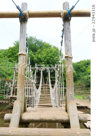 吊り橋 アスレチック 丸太 ロープの写真素材