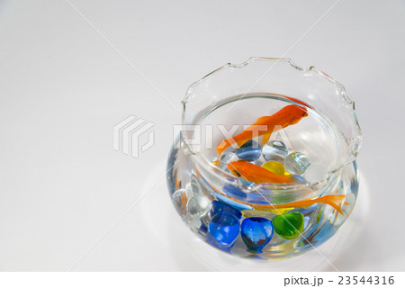 金魚鉢 水槽 ビー玉 水の写真素材