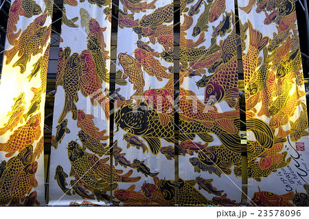 昇り鯉の写真素材